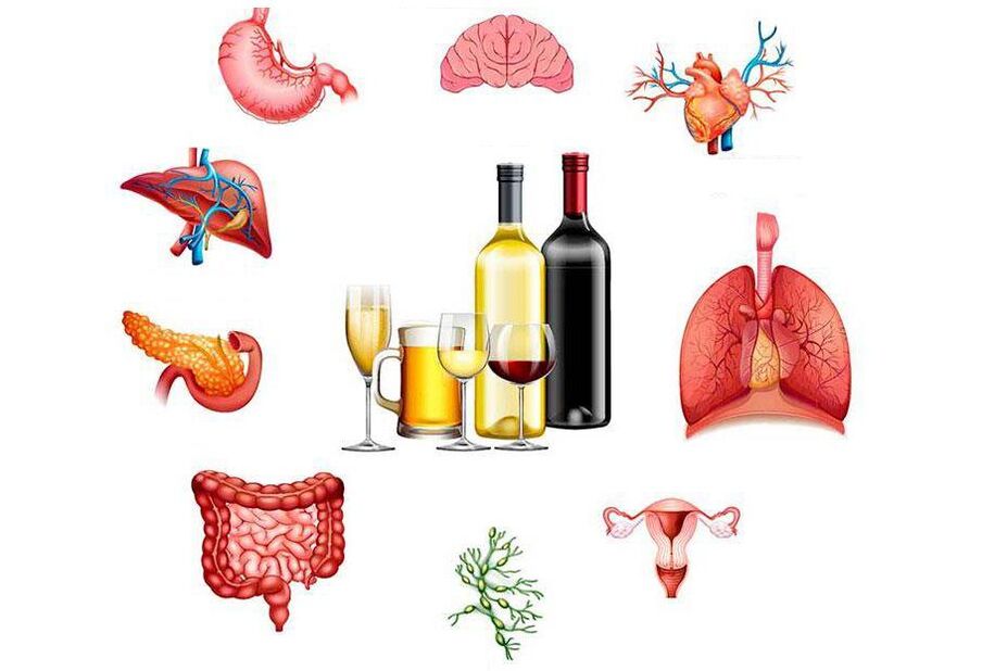 l'effet de l'alcool sur le corps